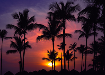 Similar image 20973240