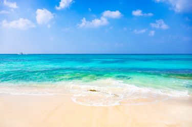 Similar image 20975503