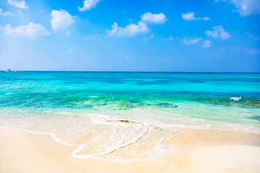 Similar image 20975504