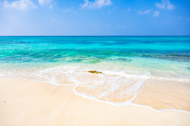 Similar image 20975505