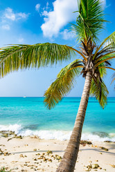 Similar image 20975507