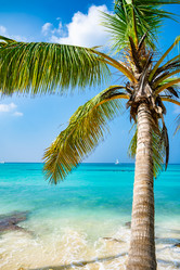 Similar image 20975508