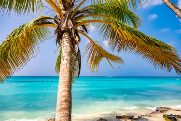 Similar image 20975642