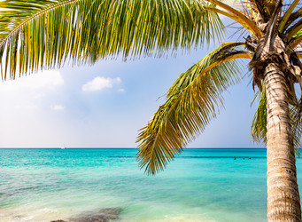 Similar image 20975643