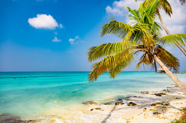 Similar image 20975644