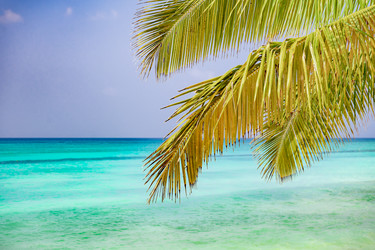 Similar image 20975645