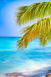 Similar image 20975646