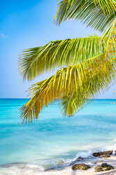 Similar image 20975647