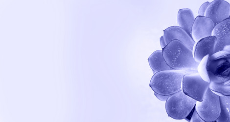 Similar image 20982584