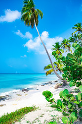 Similar image 20975914