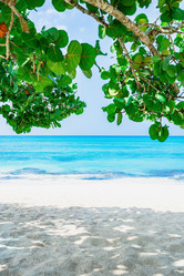 Similar image 20991592