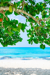 Similar image 20992892