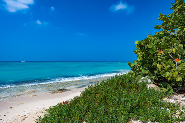 Similar image 20993200