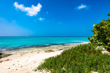 Similar image 20993201