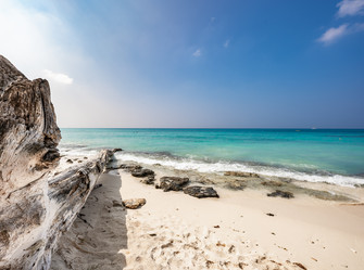 Similar image 20993208