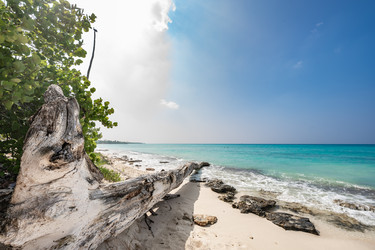 Similar image 20993209