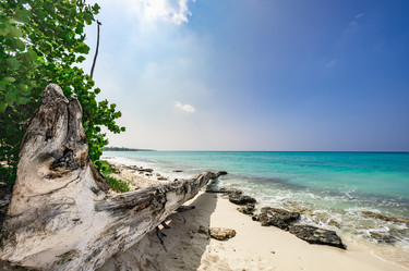 Similar image 20993210