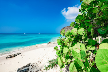 Similar image 20993215