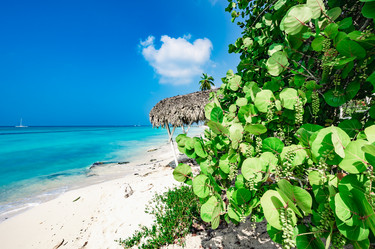 Similar image 20993216