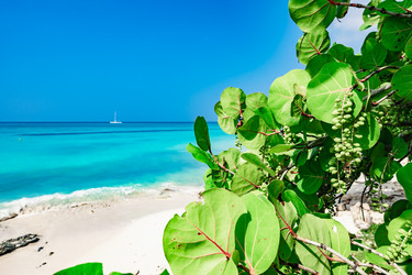 Similar image 20993217