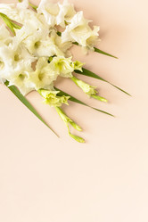 Similar image 20986518