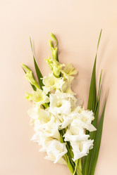 Similar image 20986519