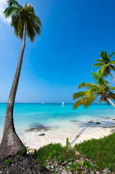 Similar image 20975320