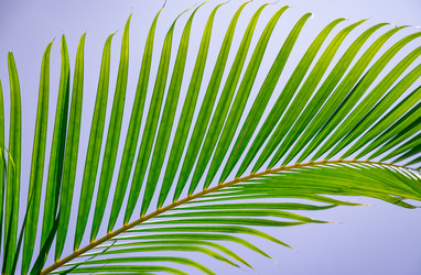 Similar image 20975334