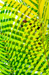 Similar image 20975337