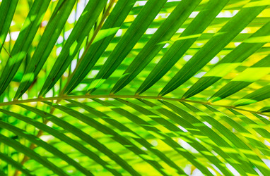 Similar image 20975339