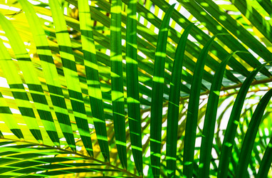 Similar image 20975340