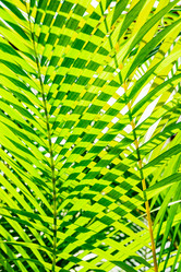 Similar image 20975341