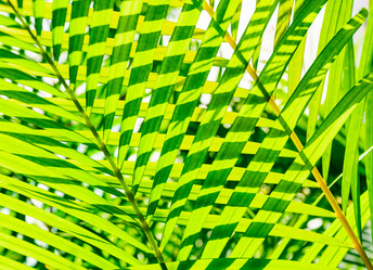 Similar image 20975342