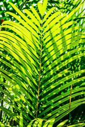 Similar image 20975347