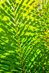 Similar image 20975349