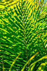 Similar image 20975350