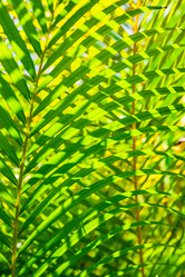 Similar image 20975351