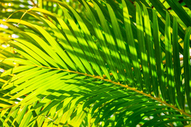 Similar image 20975512