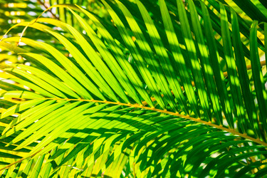 Similar image 20975513