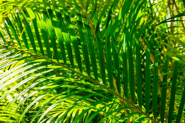 Similar image 20975514