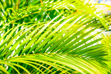 Similar image 20975515