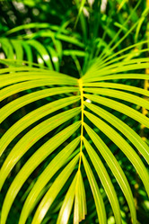 Similar image 20975517