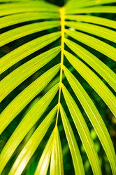 Similar image 20975518