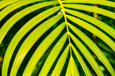 Similar image 20975519