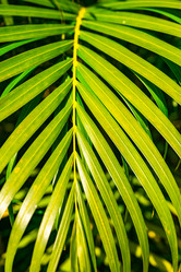 Similar image 20975521