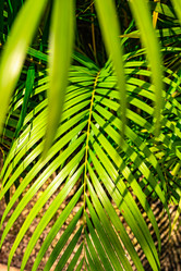 Similar image 20975522