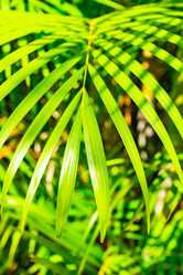 Similar image 20975524