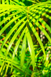 Similar image 20975525