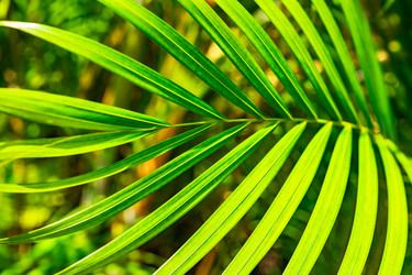 Similar image 20975526