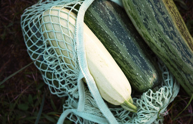 Similar image 20984178